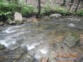 fowlers hollow.Laural run 06-09-14 054